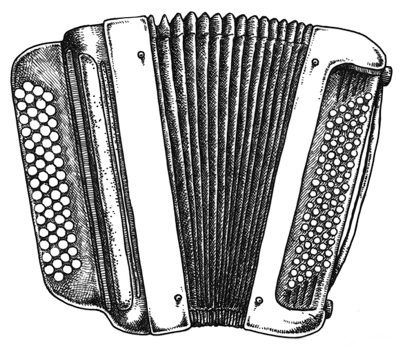 Dessin accordéon © L'Accordéon et Vous